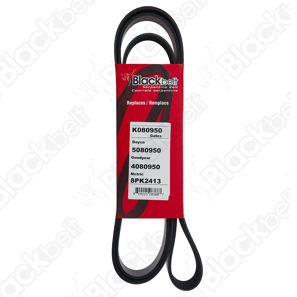COURROIE SERPENTINE BLACK BELT - 2
