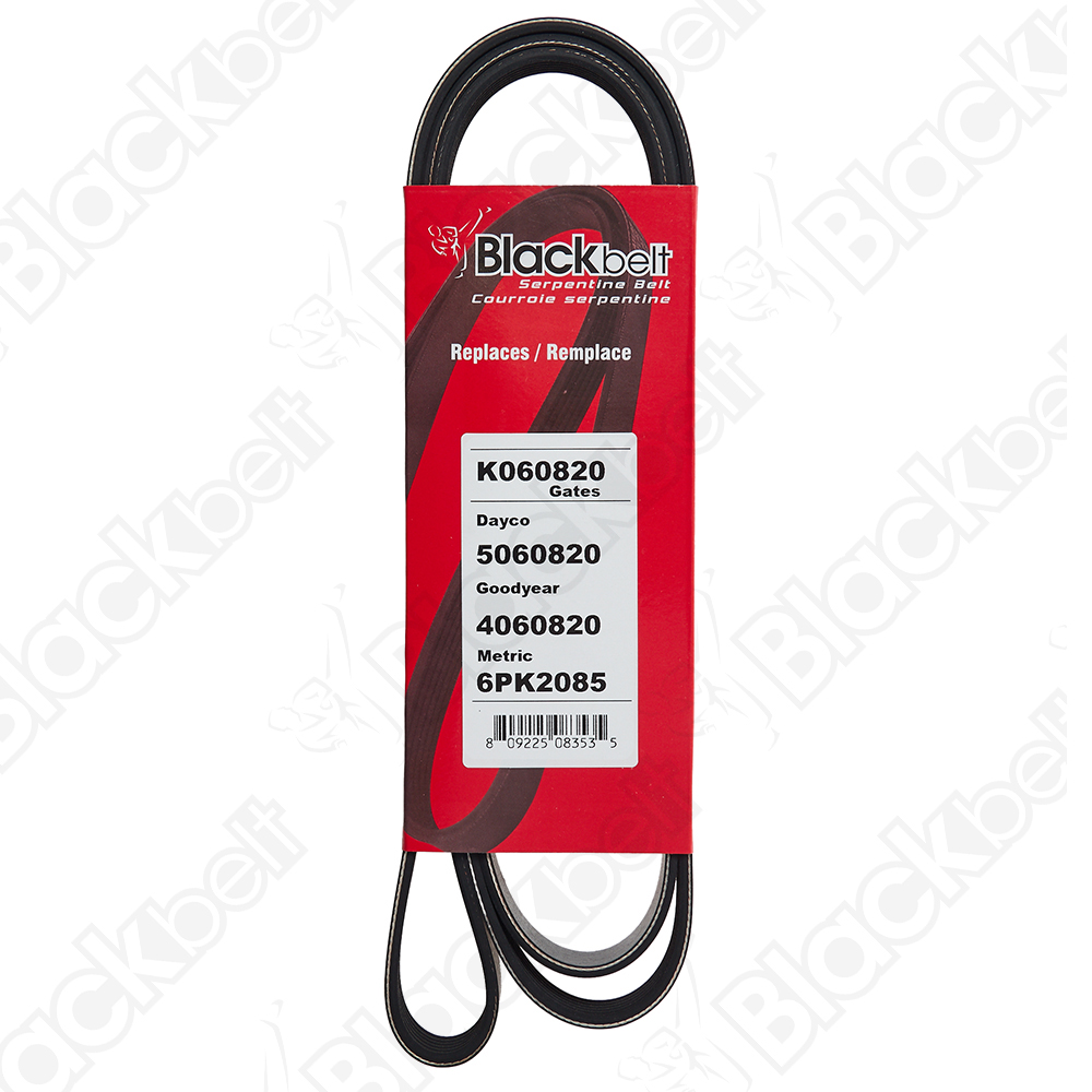COURROIE SERPENTINE BLACK BELT - 2