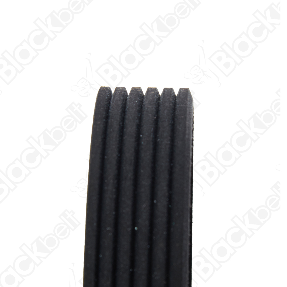 BLACKBELT SERPENTINE BELT - 2