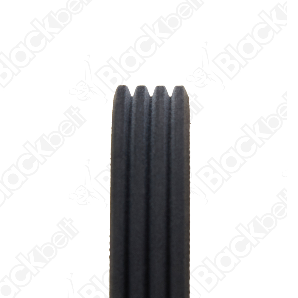 BLACKBELT SERPENTINE BELT - 2