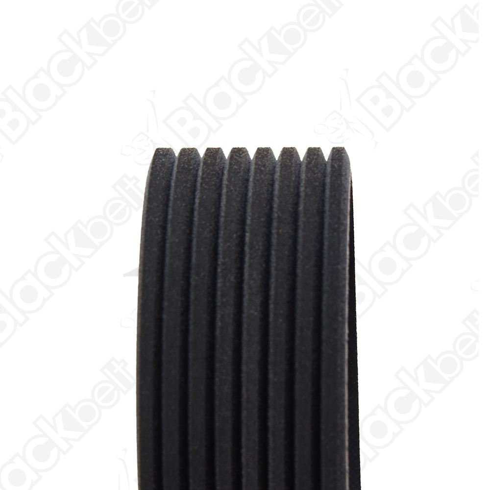 COURROIE SERPENTINE BLACK BELT - 2