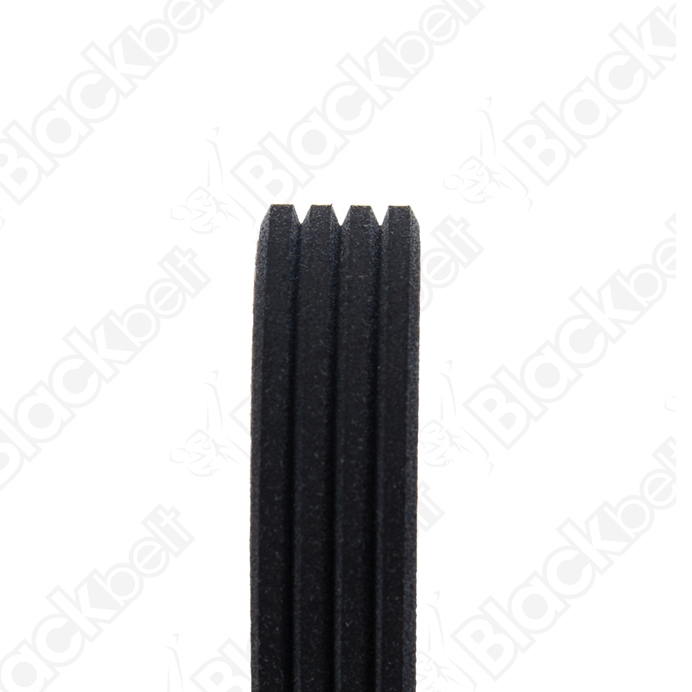 BLACKBELT SERPENTINE BELT - 2
