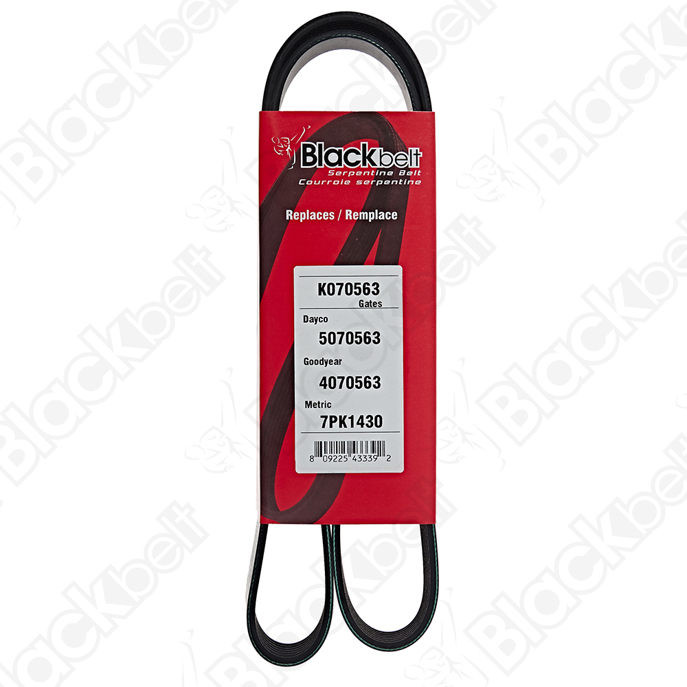 BLACKBELT SERPENTINE BELT - 2