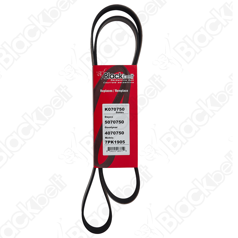 BLACKBELT SERPENTINE BELT - 2