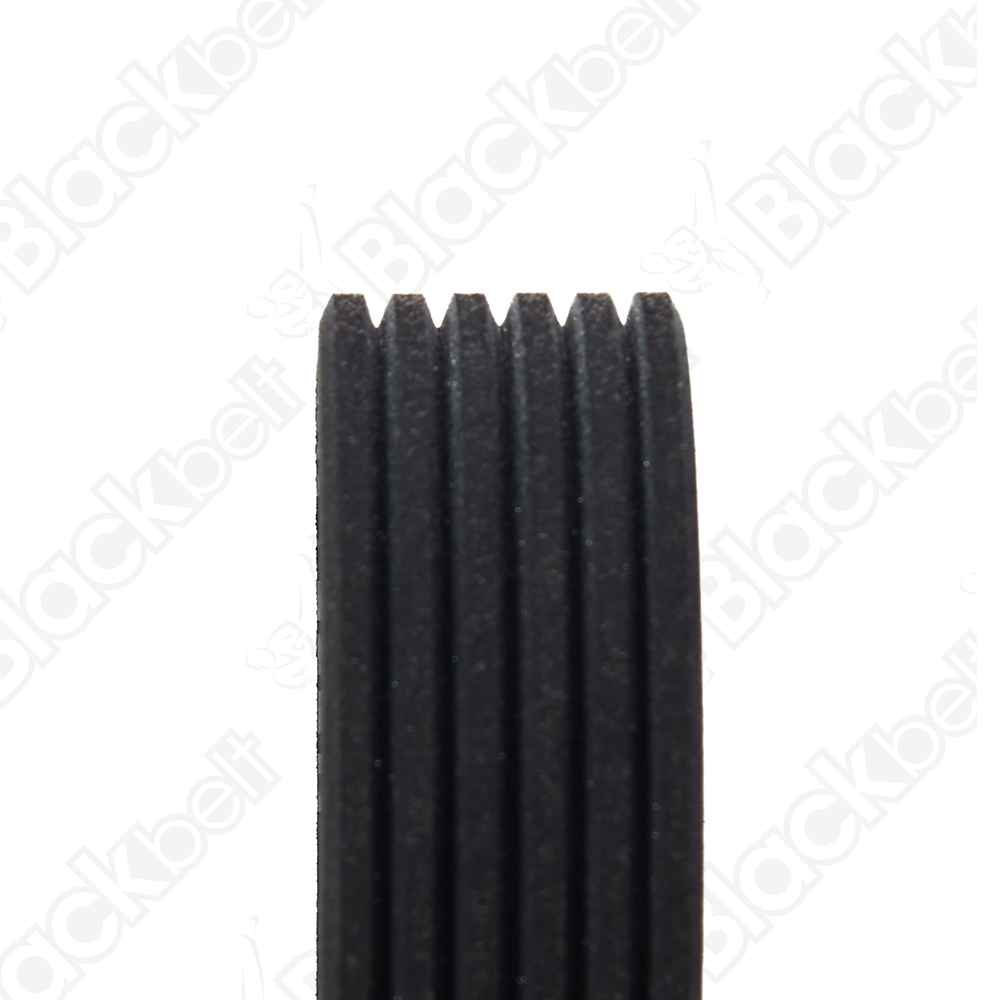 BLACKBELT SERPENTINE BELT - 2