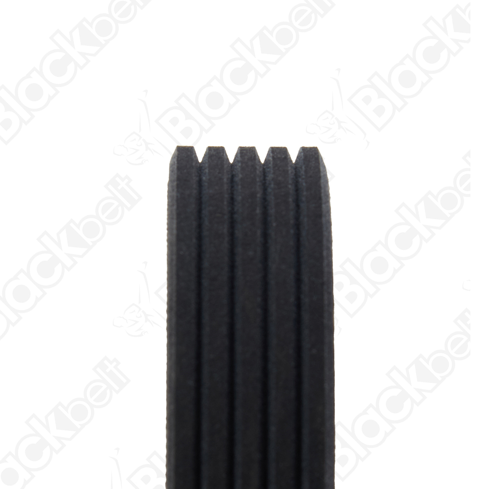 BLACKBELT SERPENTINE BELT - 2