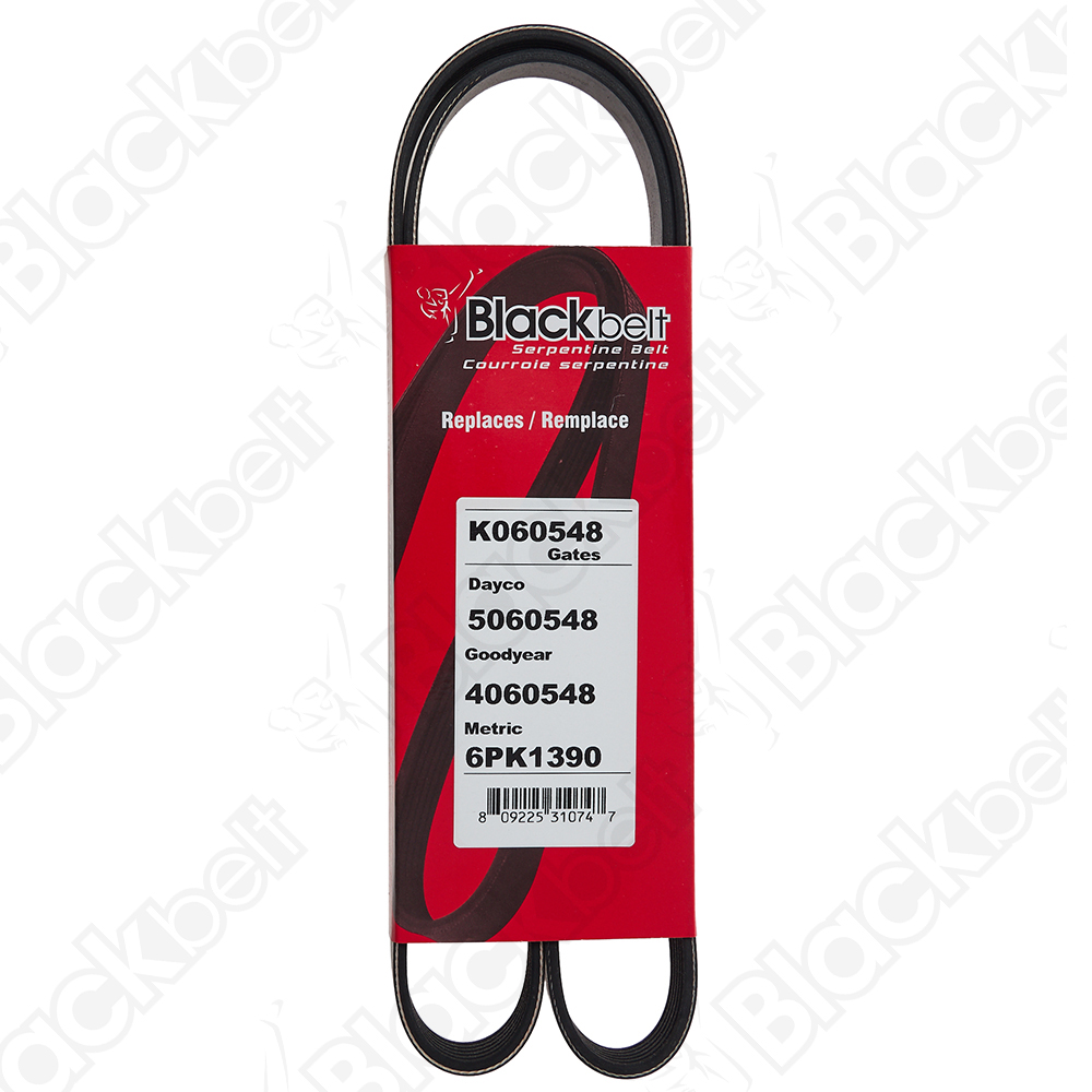 BLACKBELT SERPENTINE BELT - 2