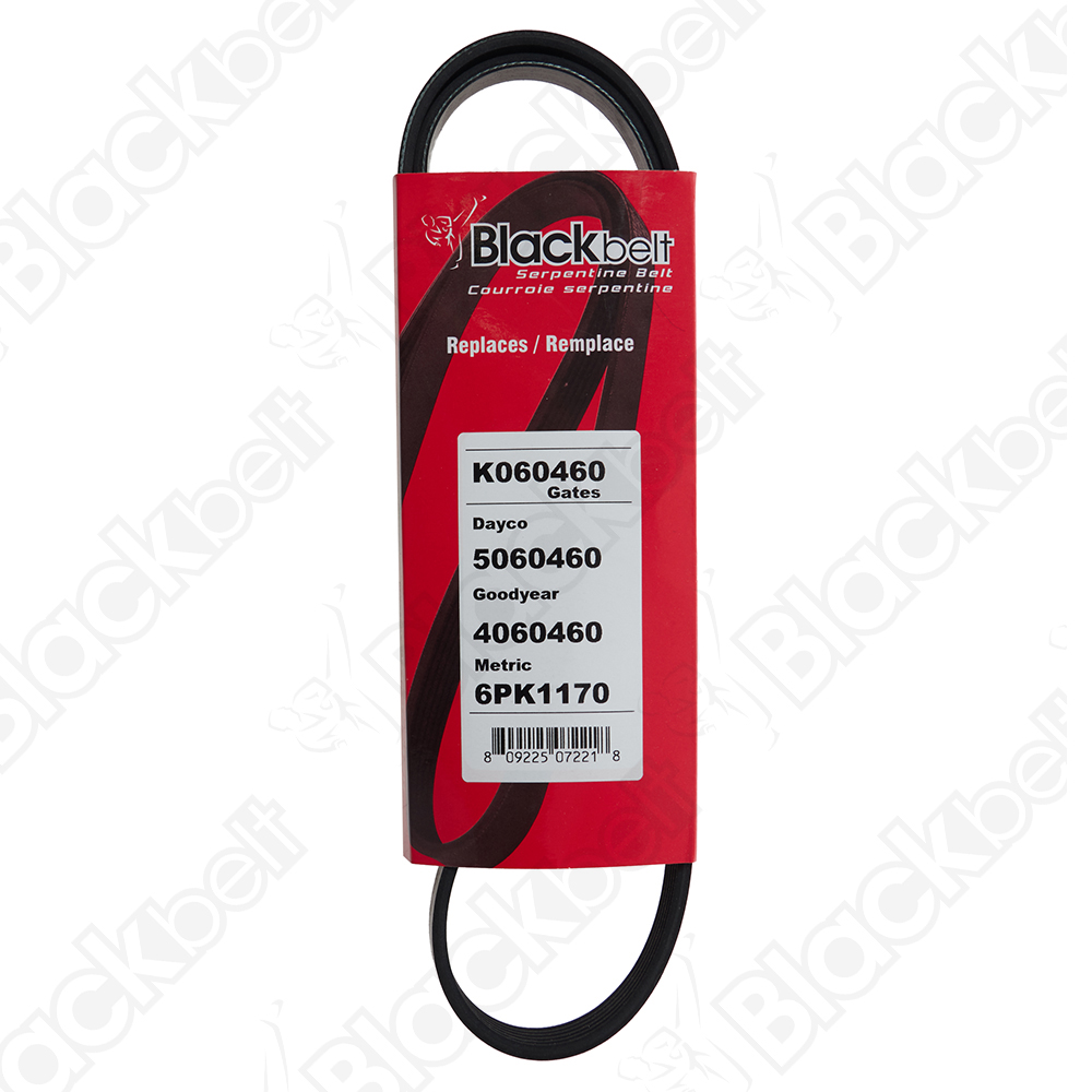 COURROIE SERPENTINE BLACK BELT - 2