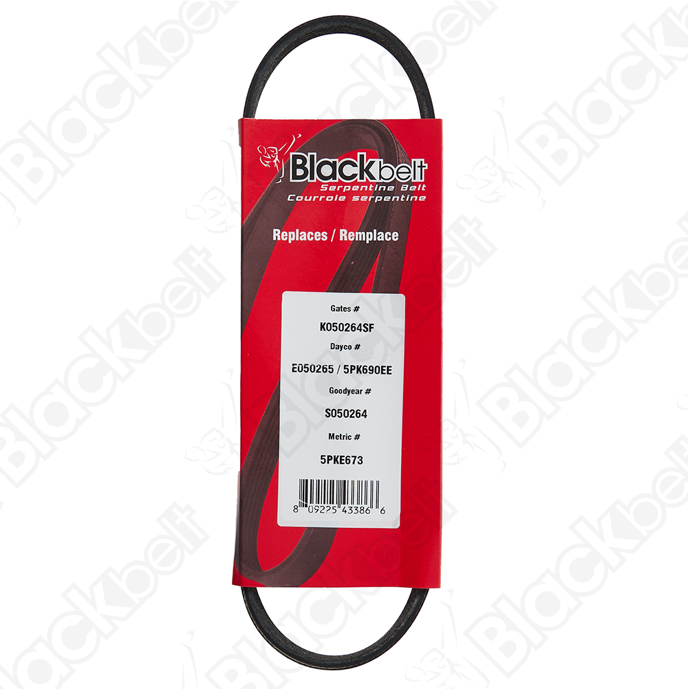 BLACKBELT ELASTIC SERP BELT - 2