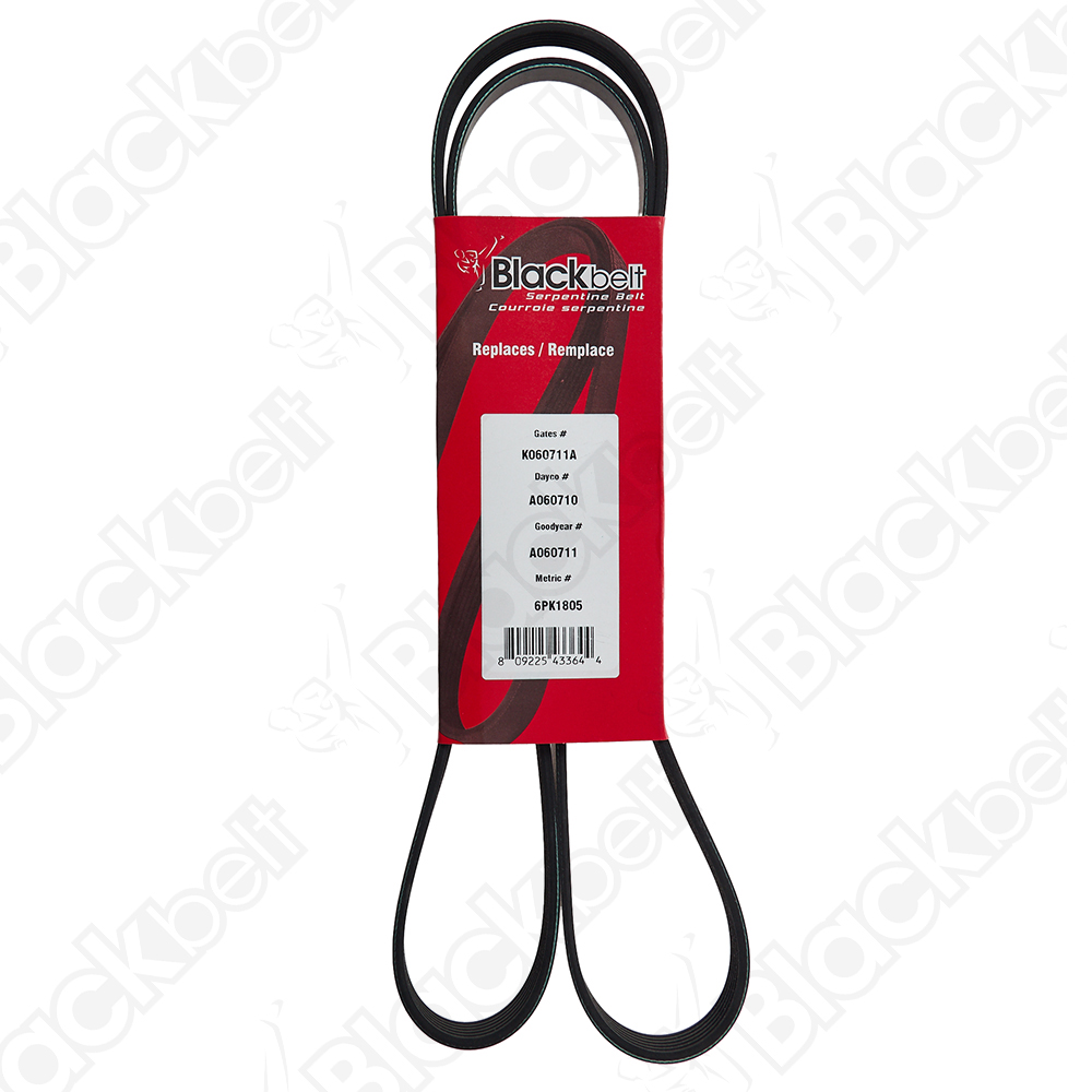BLACKBELT SERPENTINE BELT - 2