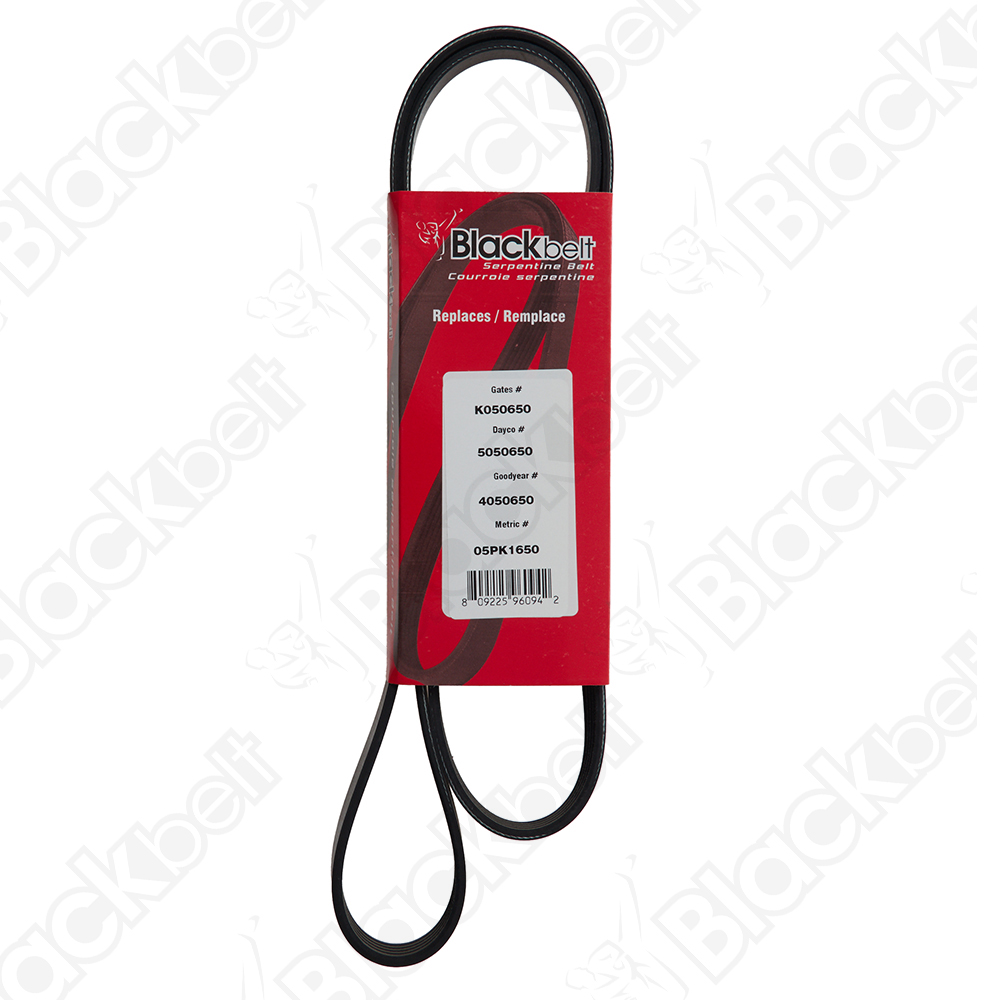 COURROIE SERPENTINE BLACK BELT - 2