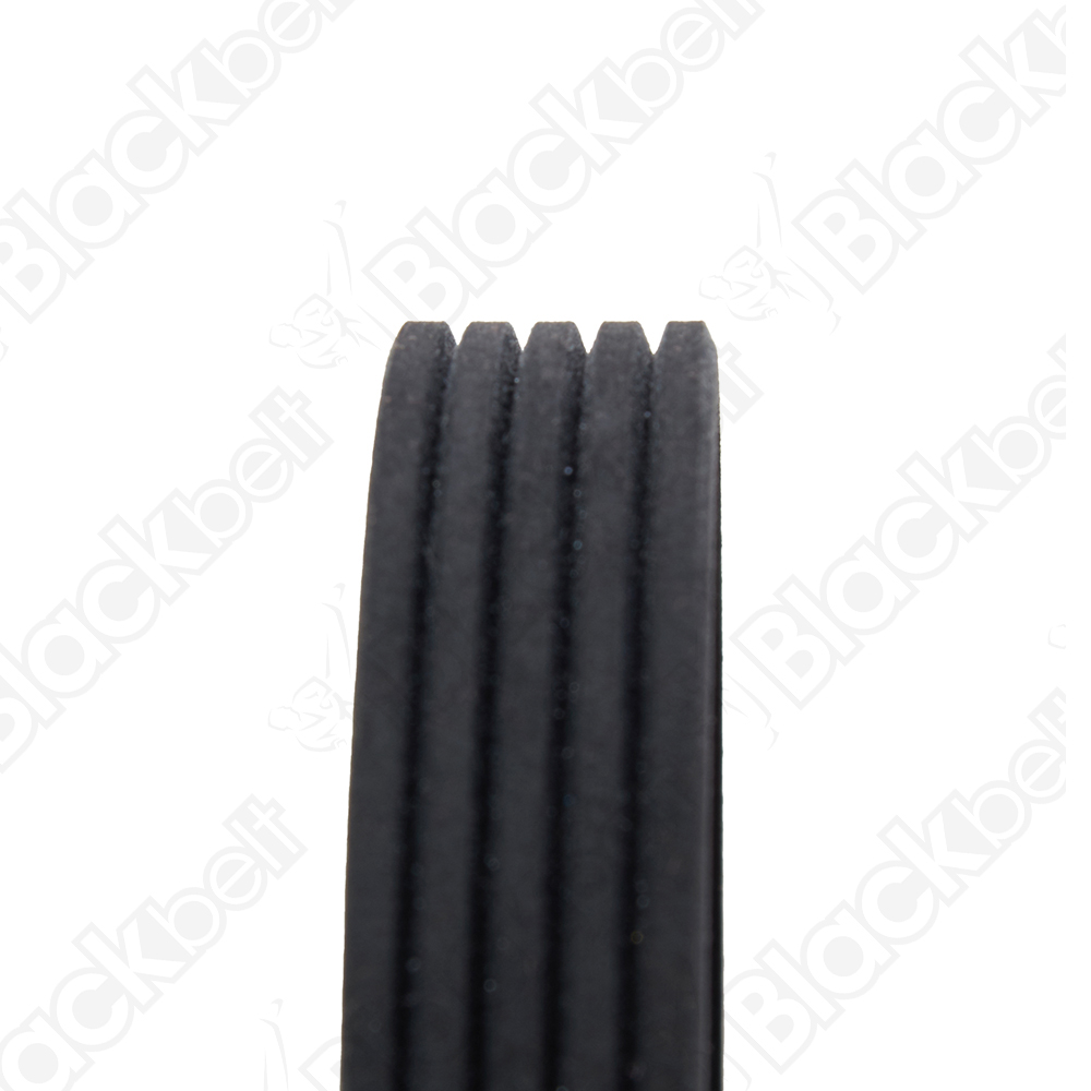 COURROIE SERPENTINE BLACK BELT - 2