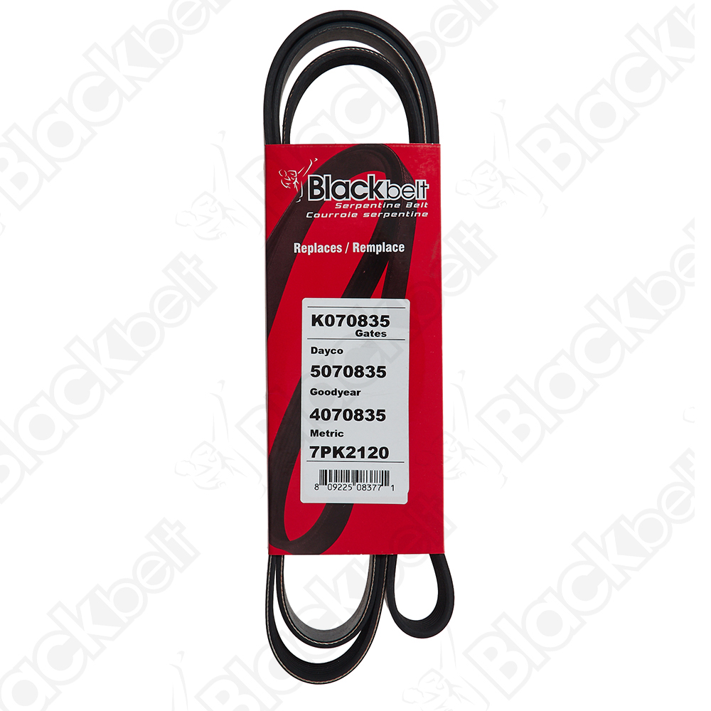 BLACKBELT SERPENTINE BELT - 2