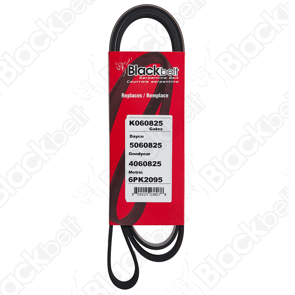 BLACKBELT SERPENTINE BELT - 2