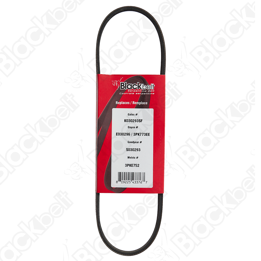 BLACKBELT ELASTIC SERP BELT - 2