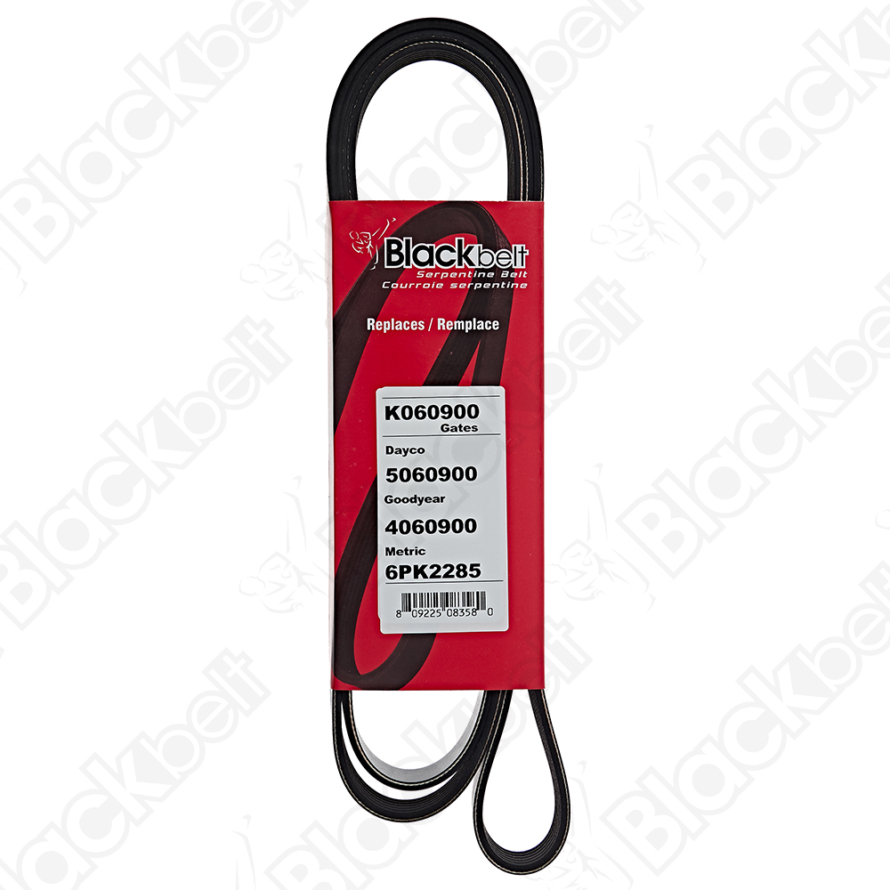 BLACKBELT SERPENTINE BELT - 2