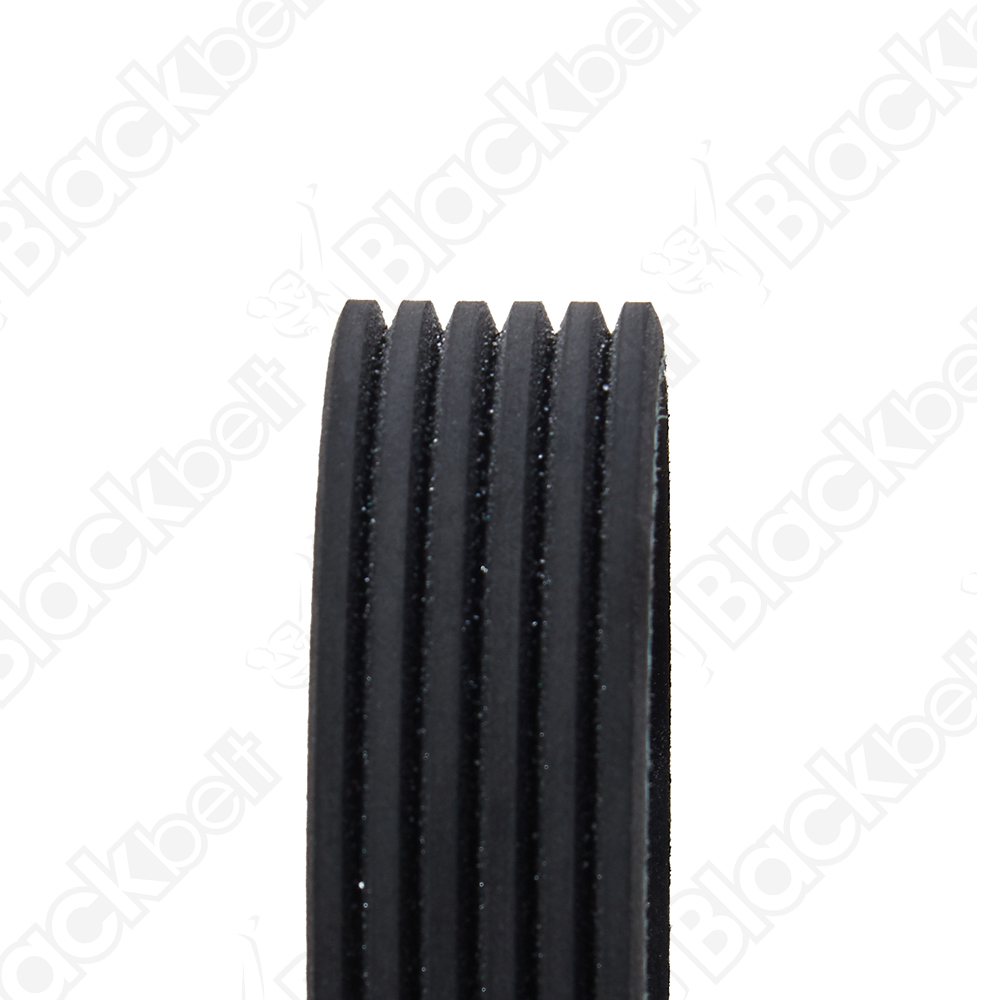 BLACKBELT SERPENTINE BELT - 2