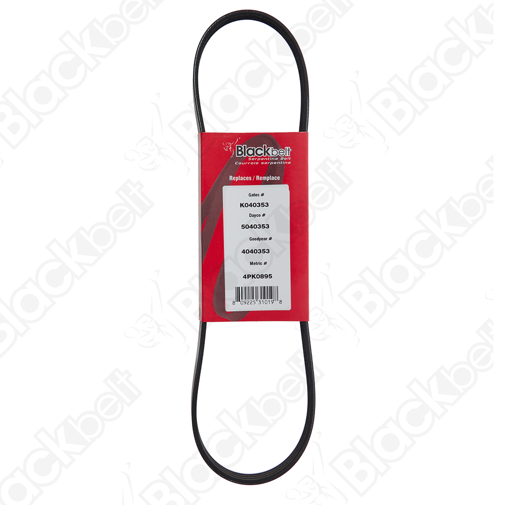 COURROIE SERPENTINE BLACK BELT - 2