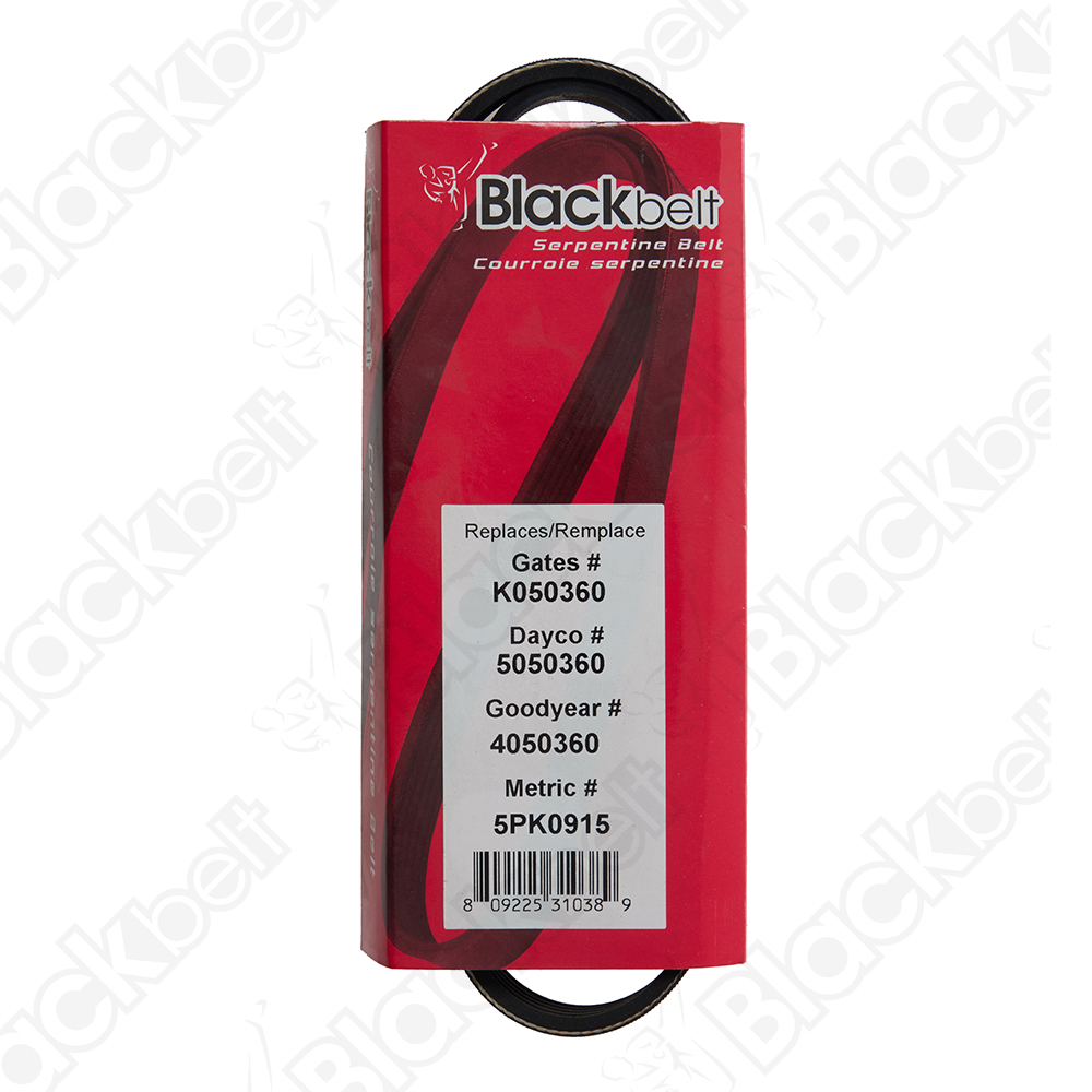 BLACKBELT SERPENTINE BELT - 2
