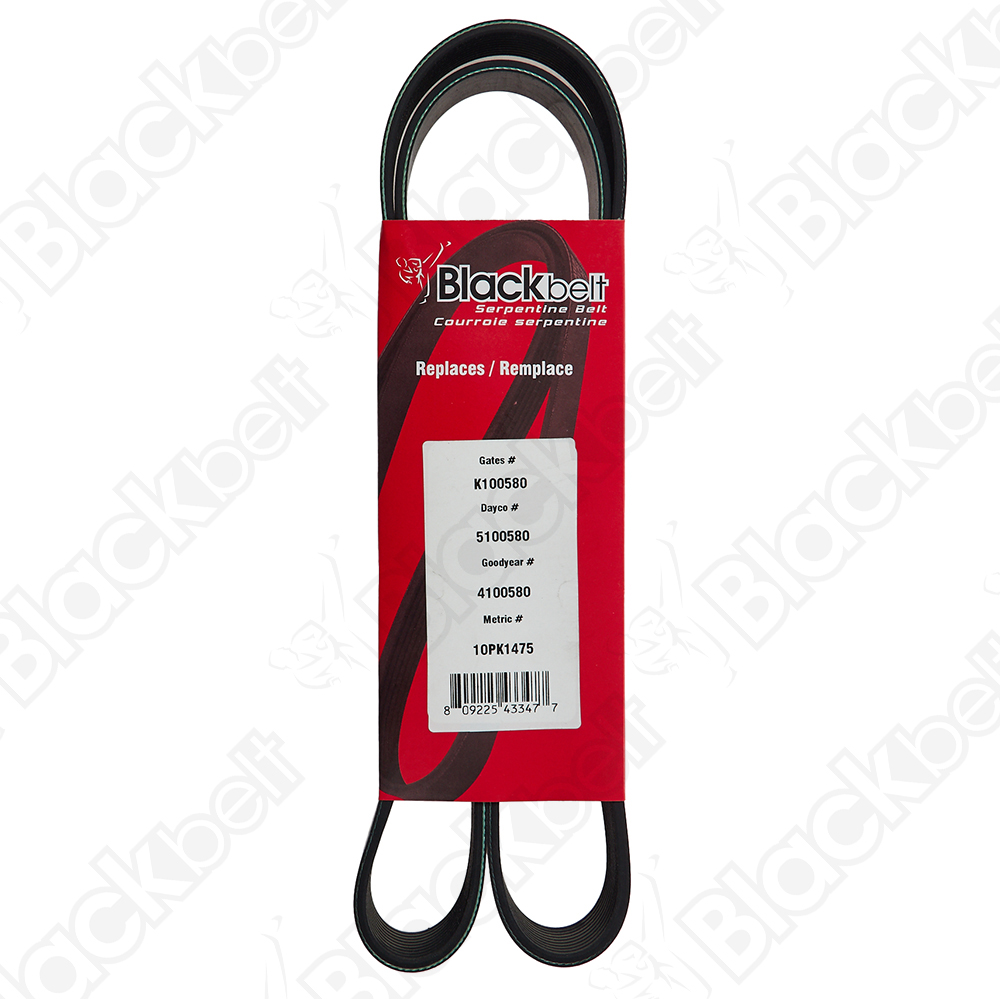BLACKBELT SERPENTINE BELT - 2