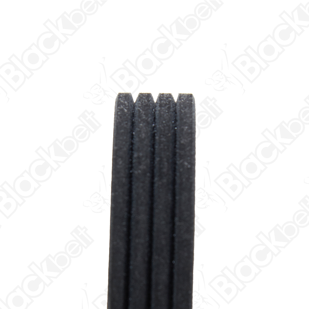 COURROIE SERPENTINE BLACK BELT - 2