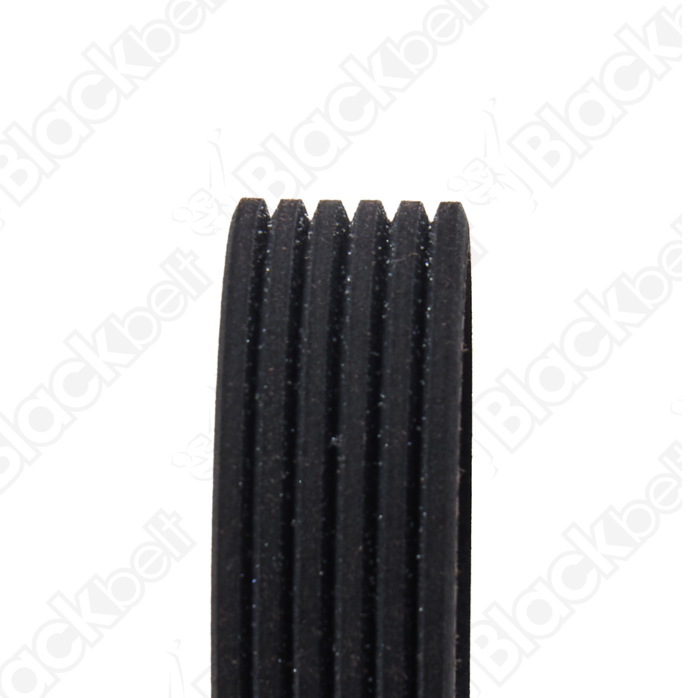 BLACKBELT SERPENTINE BELT - 2