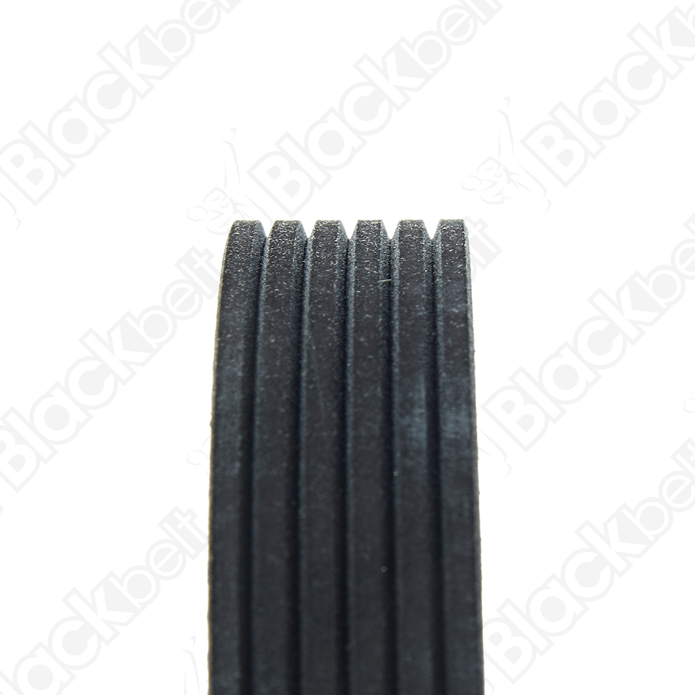COURROIE SERPENTINE BLACK BELT - 2