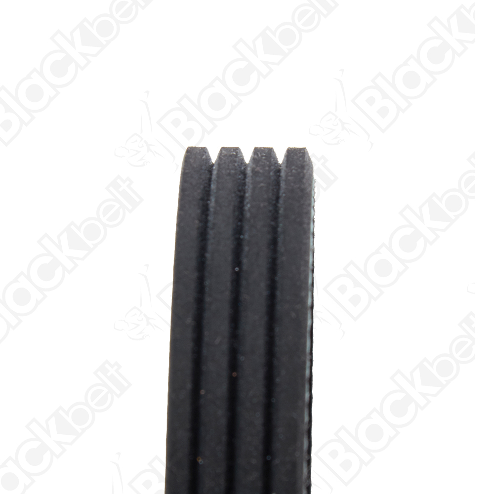 BLACKBELT SERPENTINE BELT - 2