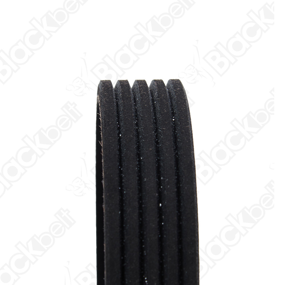 BLACKBELT SERPENTINE BELT