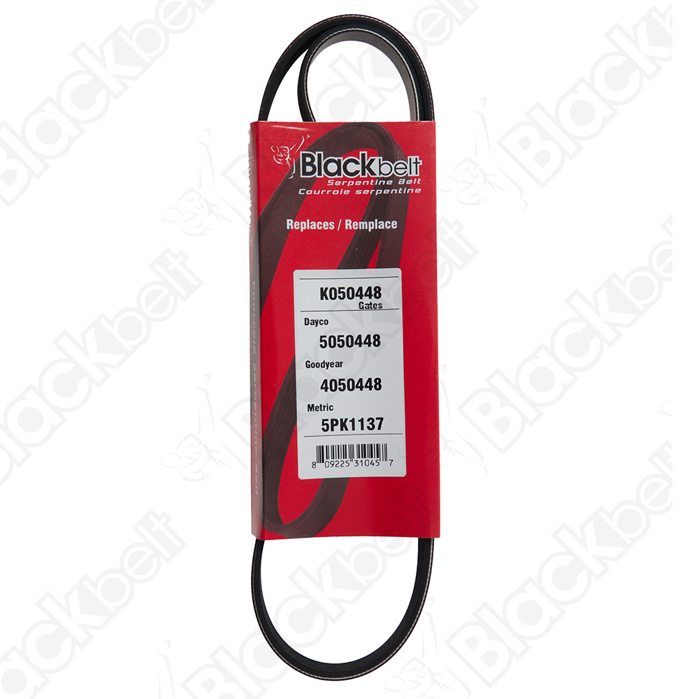 BLACKBELT SERPENTINE BELT - 2