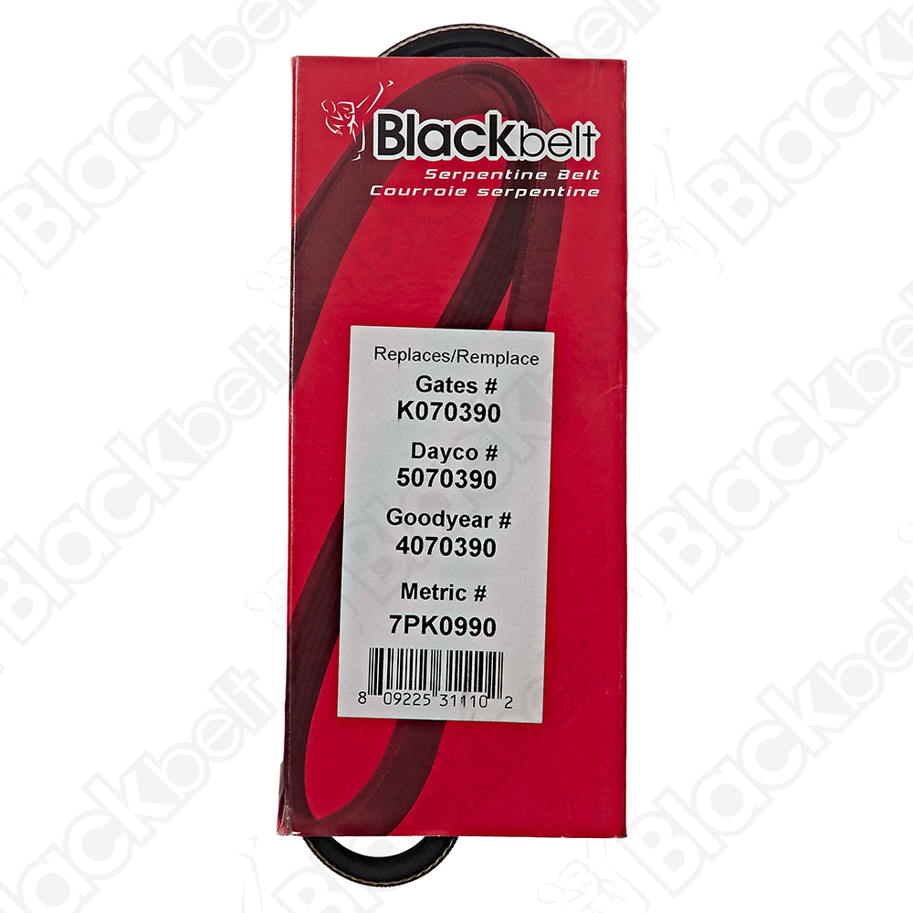 BLACKBELT SERPENTINE BELT - 2