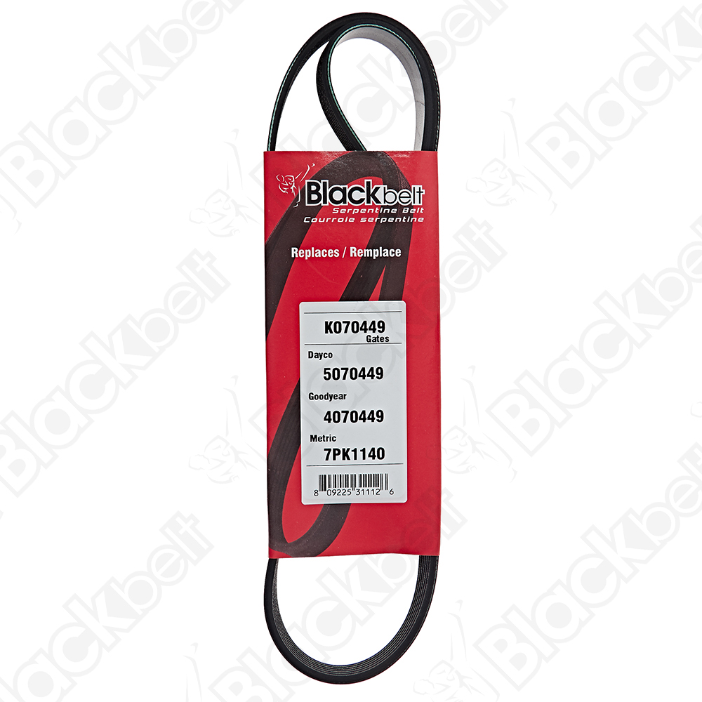 COURROIE SERPENTINE BLACK BELT - 2