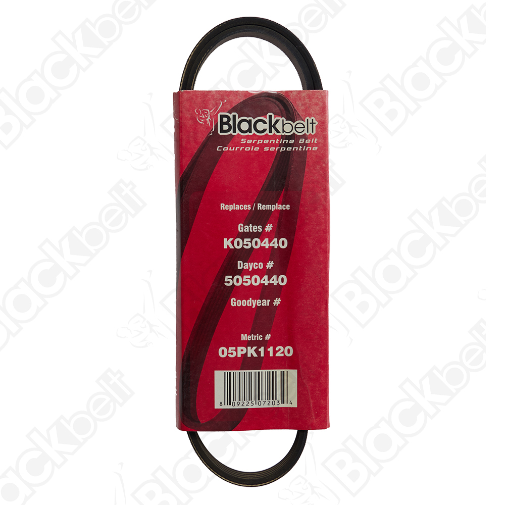 COURROIE SERPENTINE BLACK BELT - 2