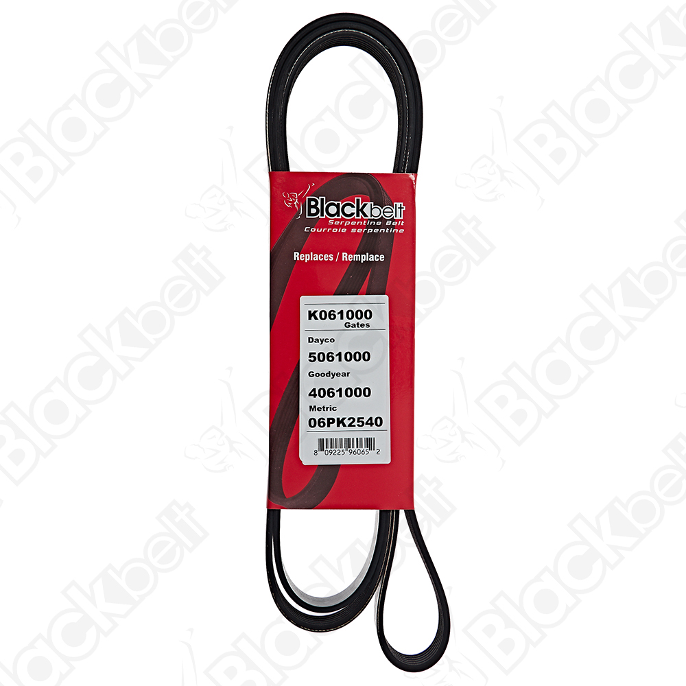 COURROIE SERPENTINE BLACK BELT - 2