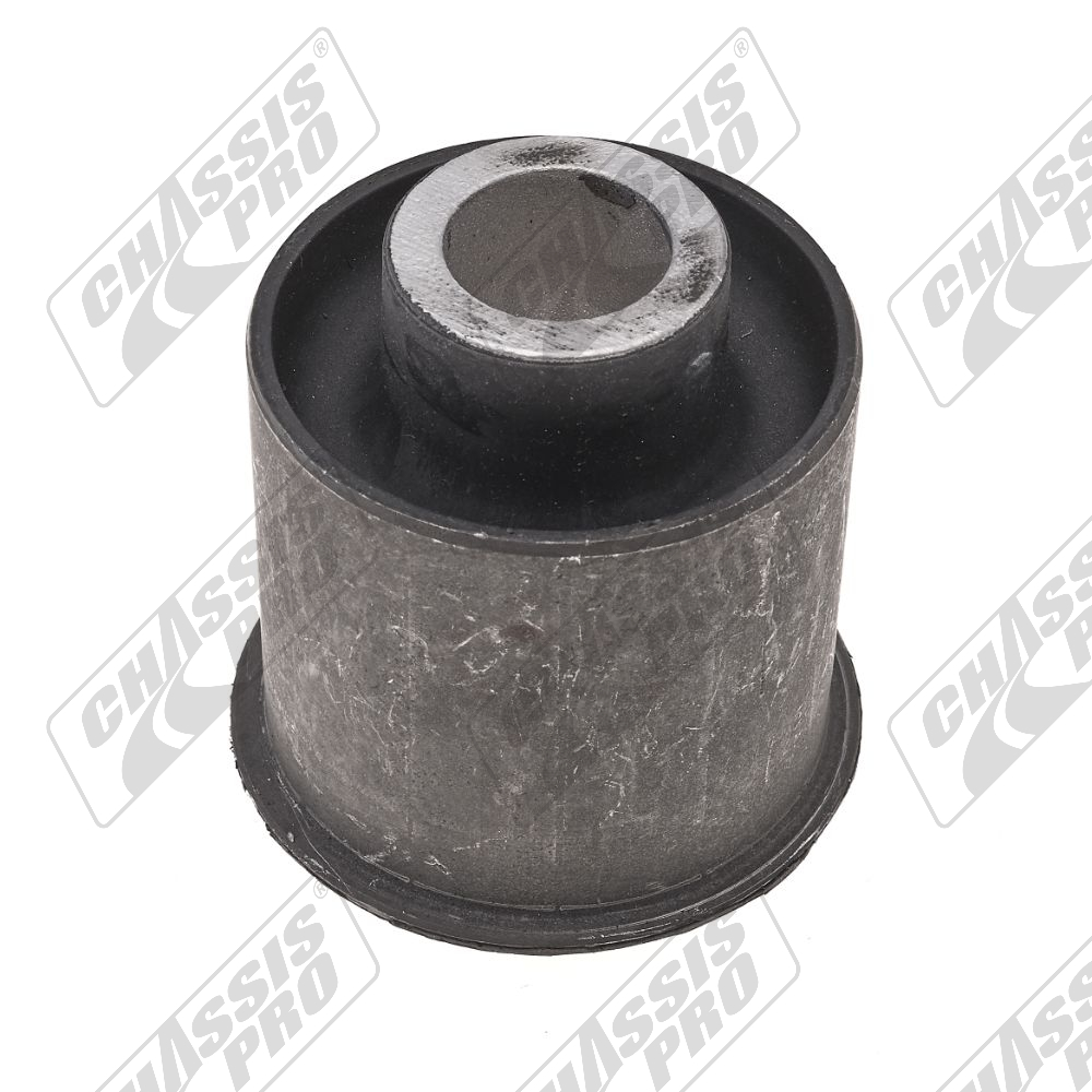 TRAILING ARM BUSHING - 2