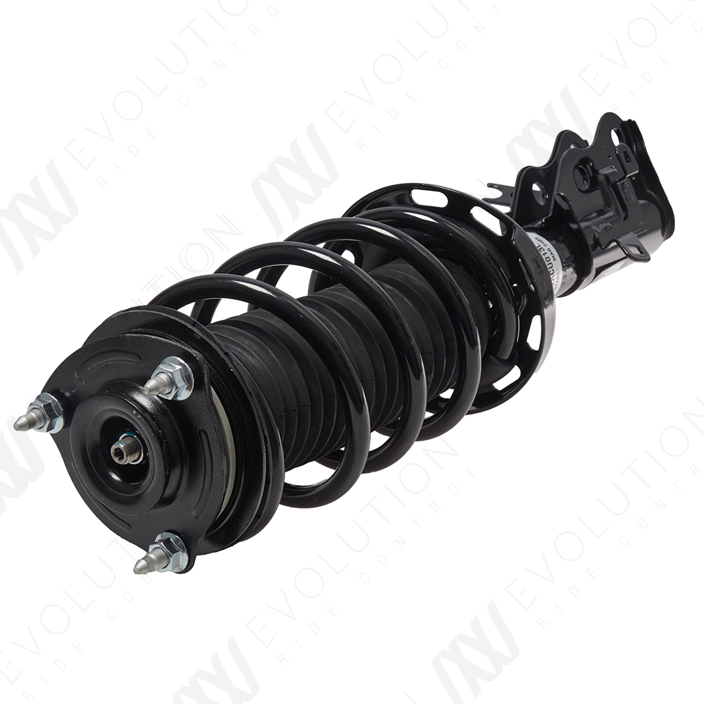EVOLUTION COMPLETE STRUT