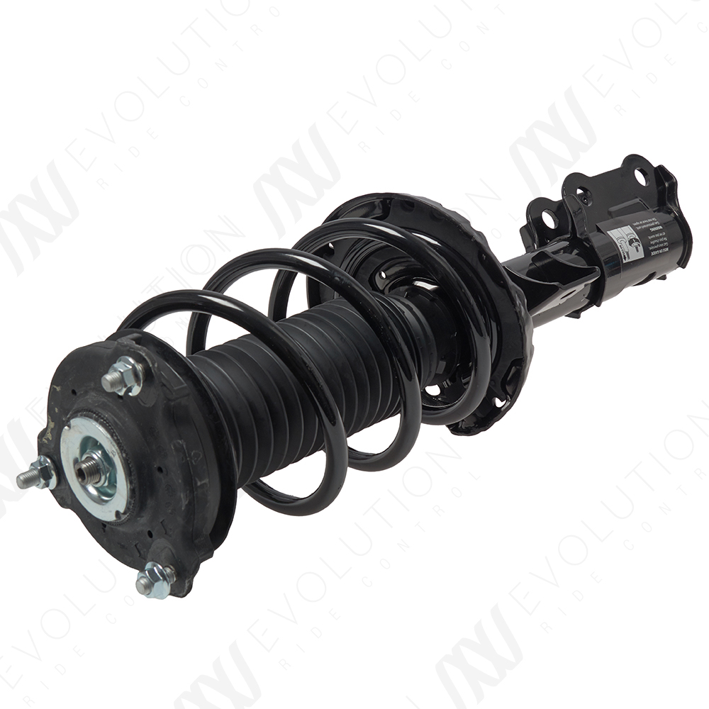 EVOLUTION COMPLETE STRUT - 2