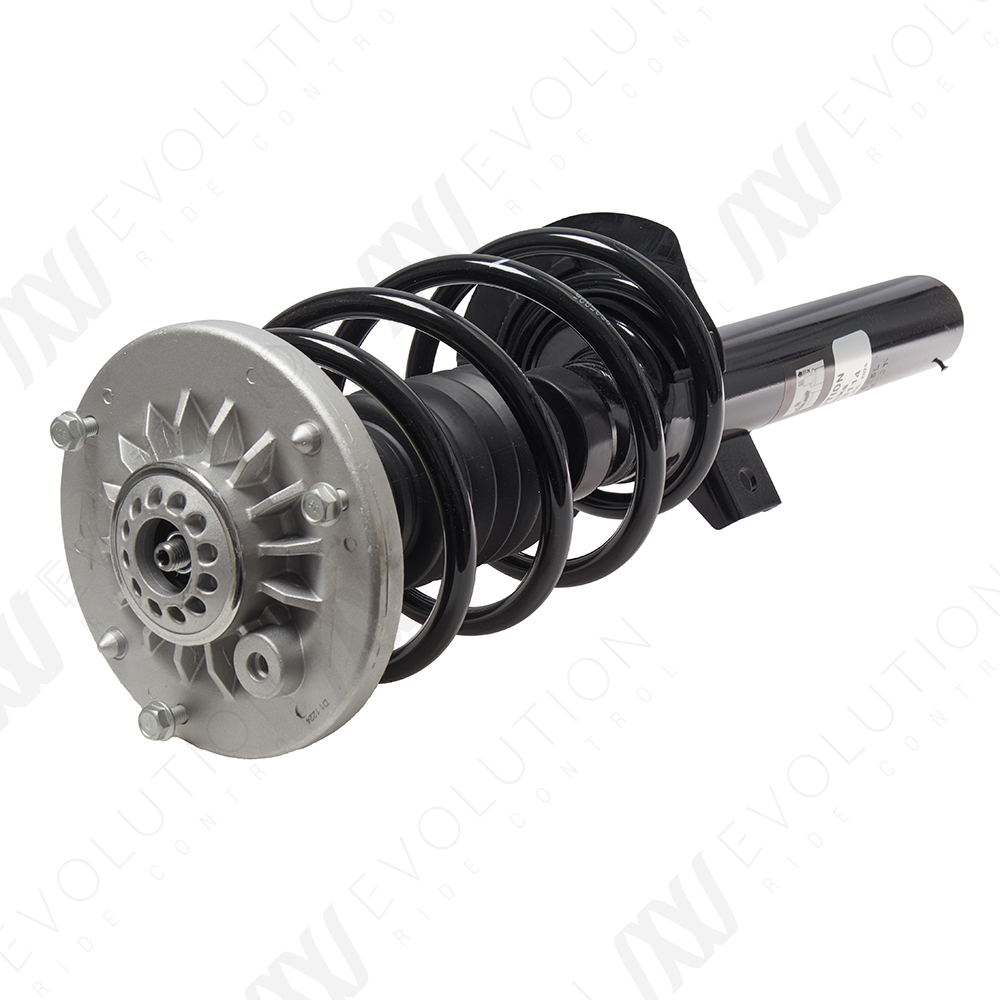 EVOLUTION COMPLETE STRUT - 2