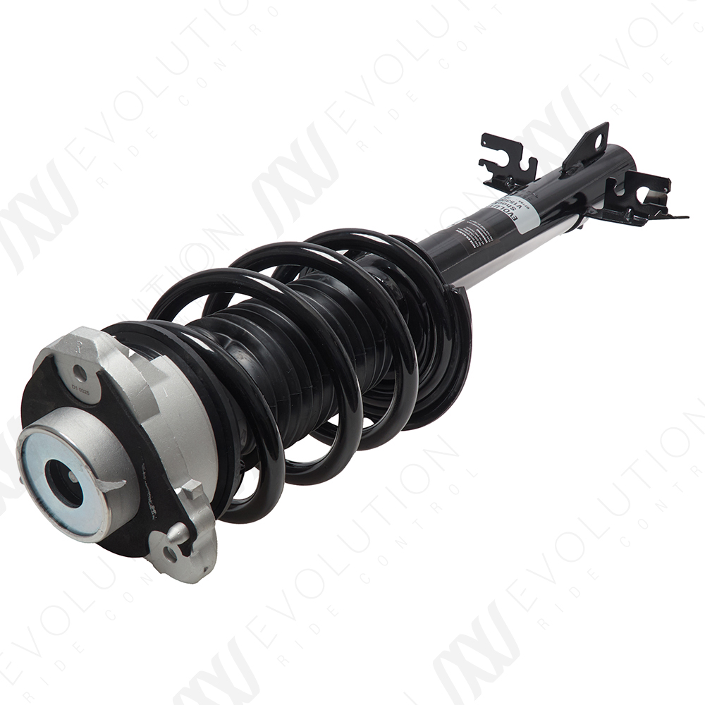 EVOLUTION COMPLETE STRUT - 2