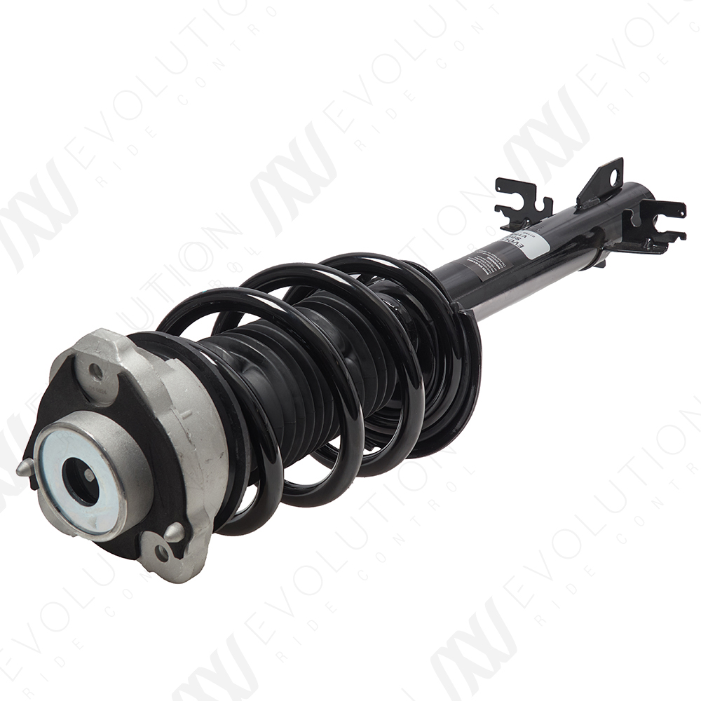 EVOLUTION COMPLETE STRUT
