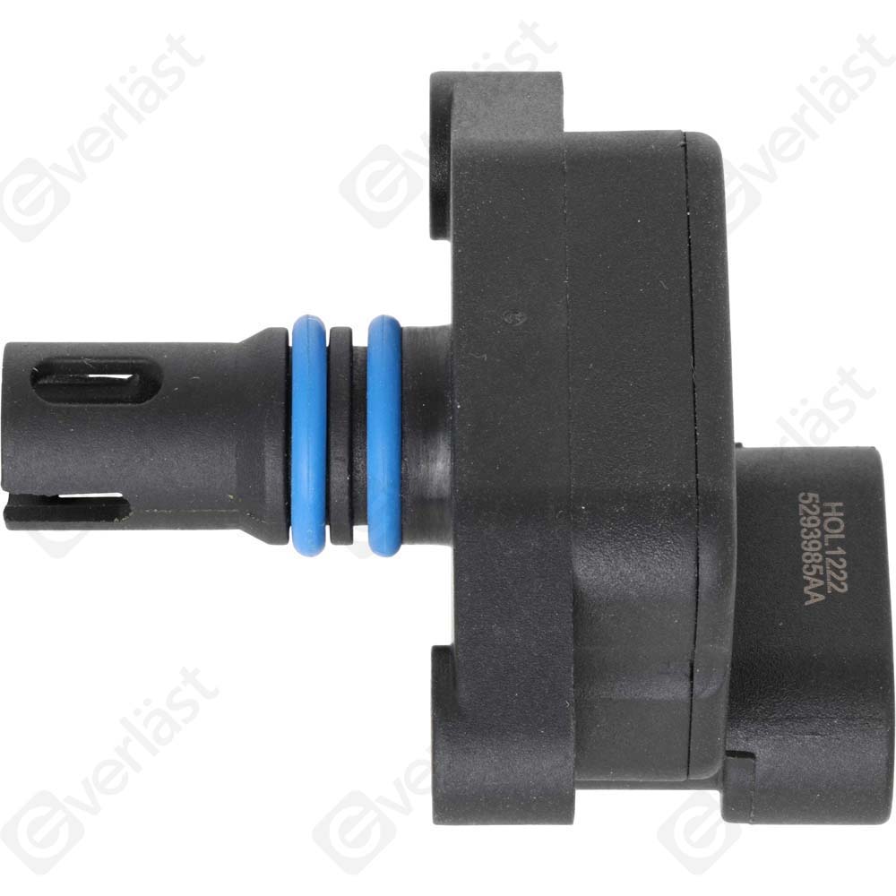 EVERLAST MANIFOLD SENSOR