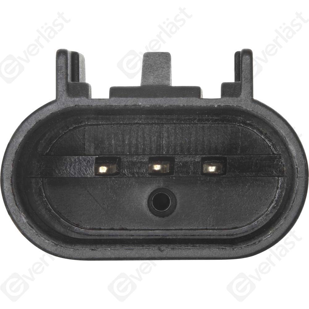 EVERLAST MANIFOLD SENSOR - 2