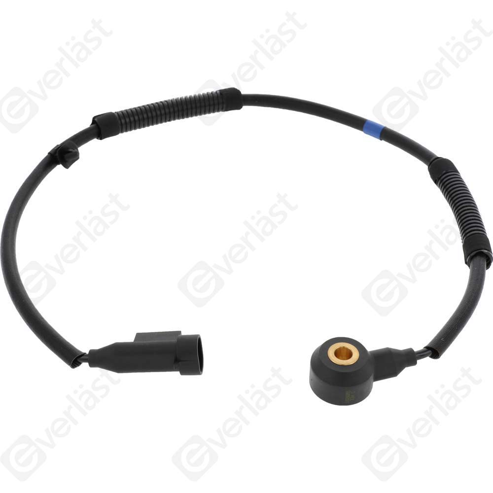 DETECTEUR CLIQUETIS EVERLAST