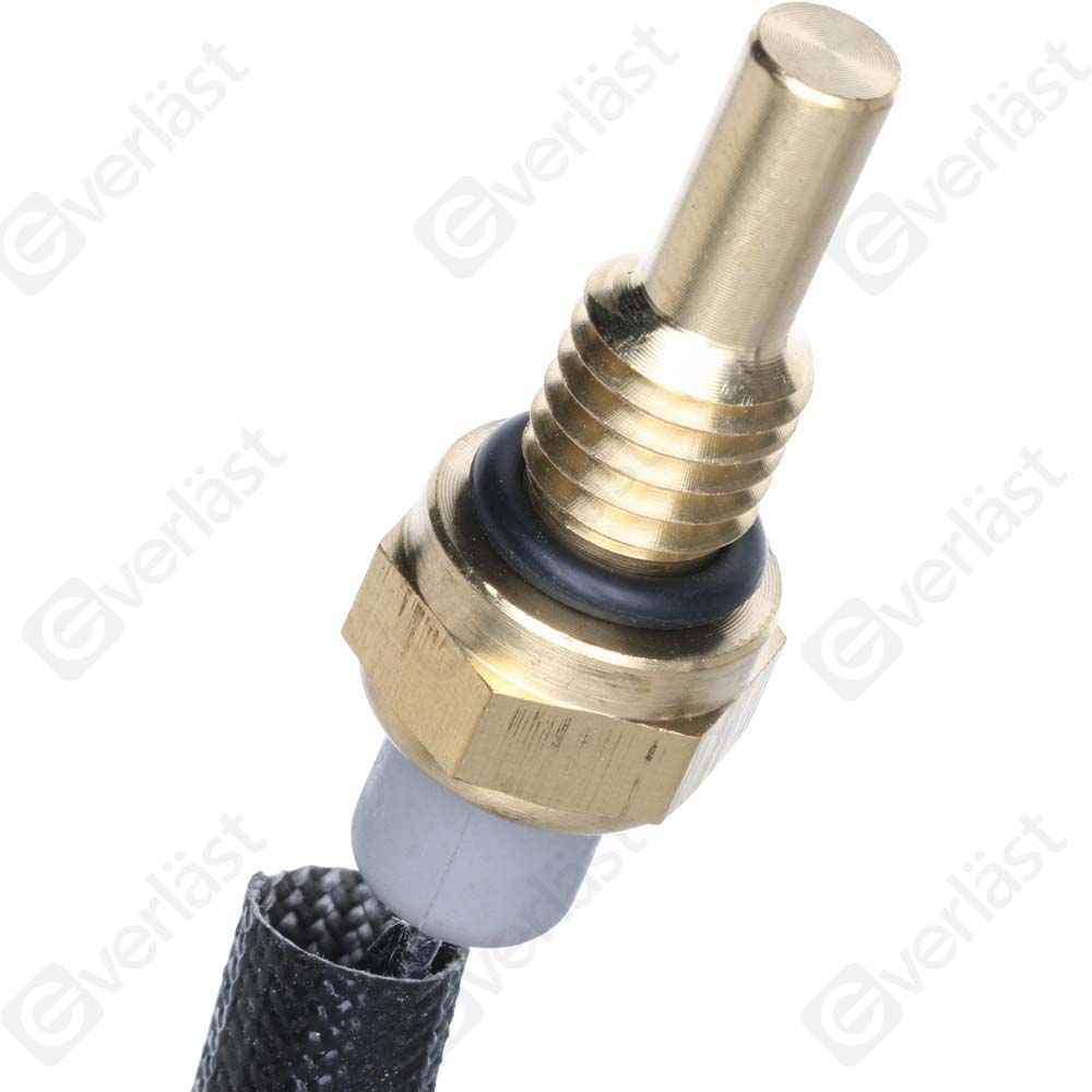 CAPTEURDE TEMPERATURE EVERLAST