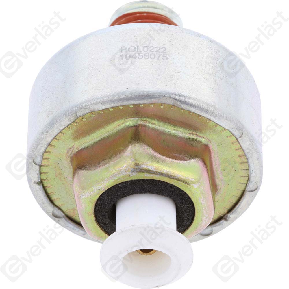 DETECTEUR CLIQUETIS EVERLAST