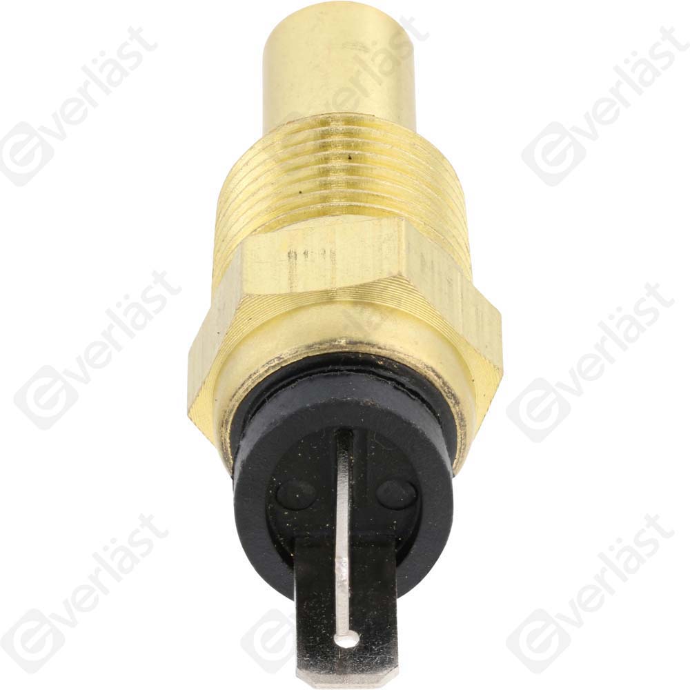 CAPTEURDE TEMPERATURE EVERLAST - 2