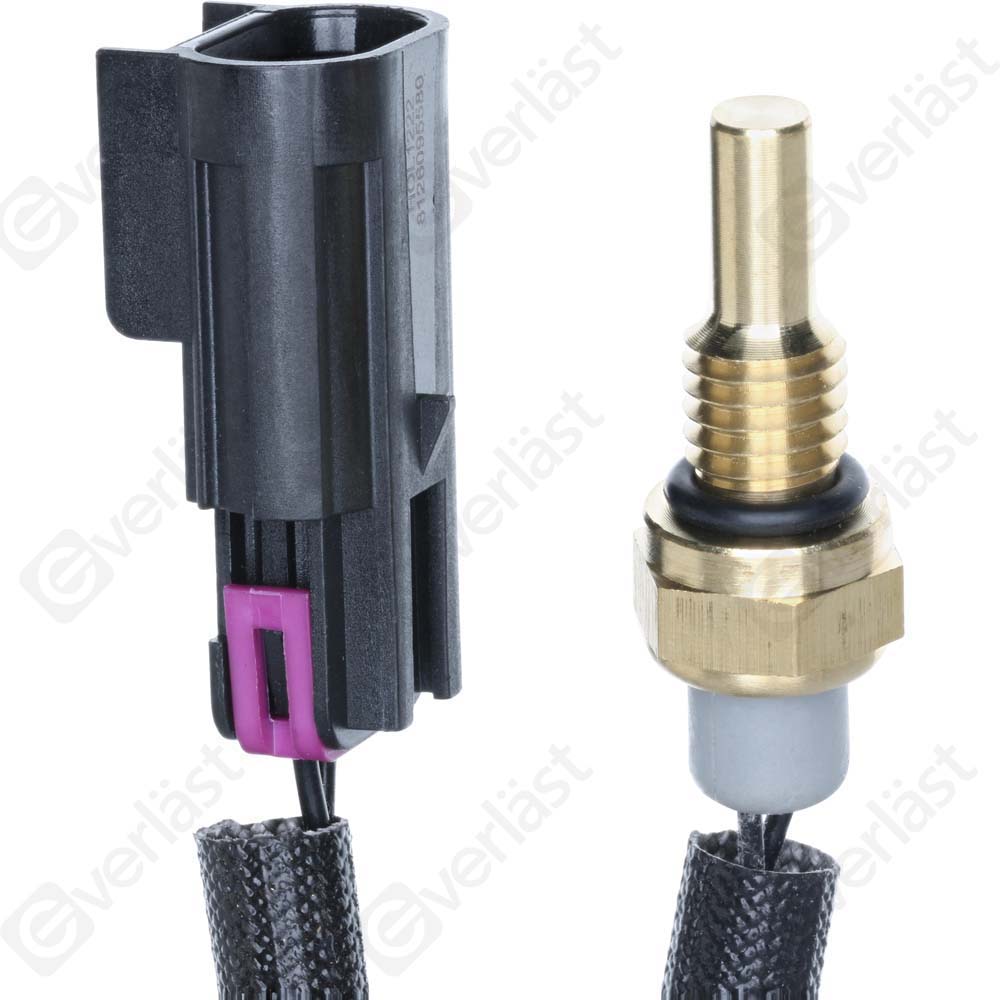 CAPTEURDE TEMPERATURE EVERLAST - 2
