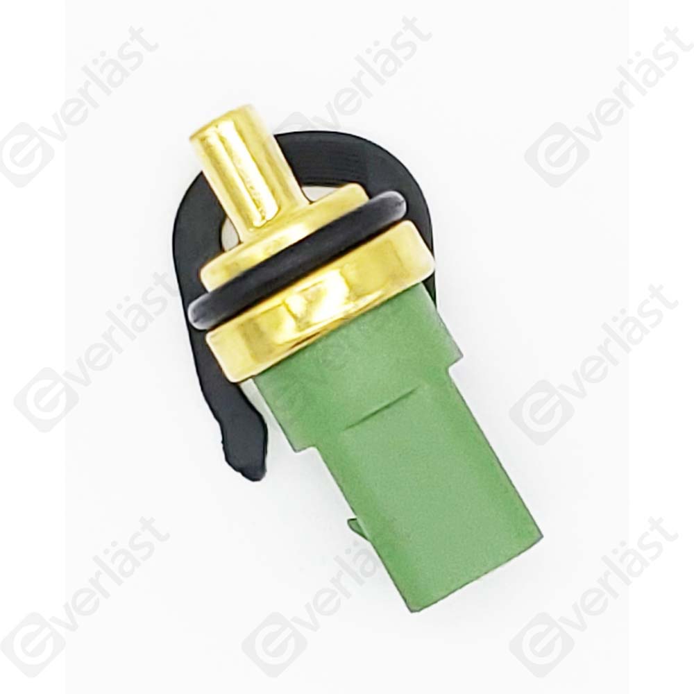 CAPTEURDE TEMPERATURE EVERLAST