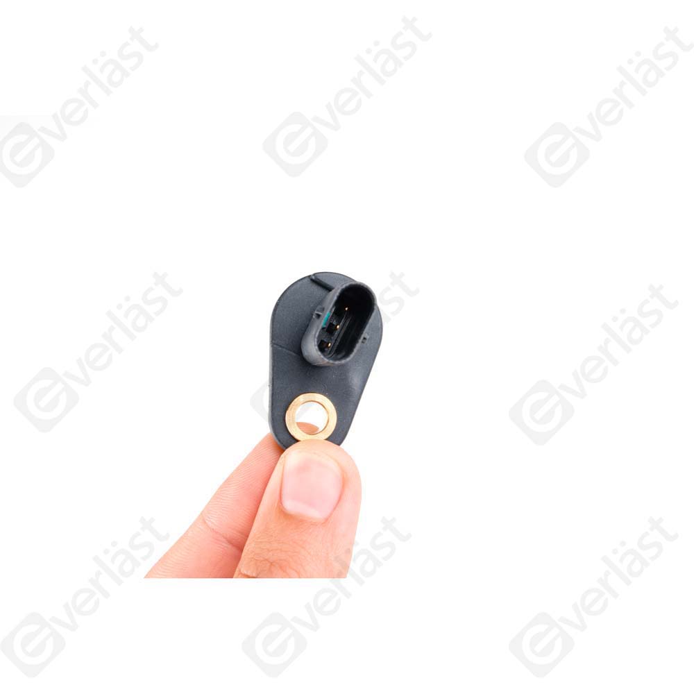 EVERLAST CRANK/CAM SENSOR - 2