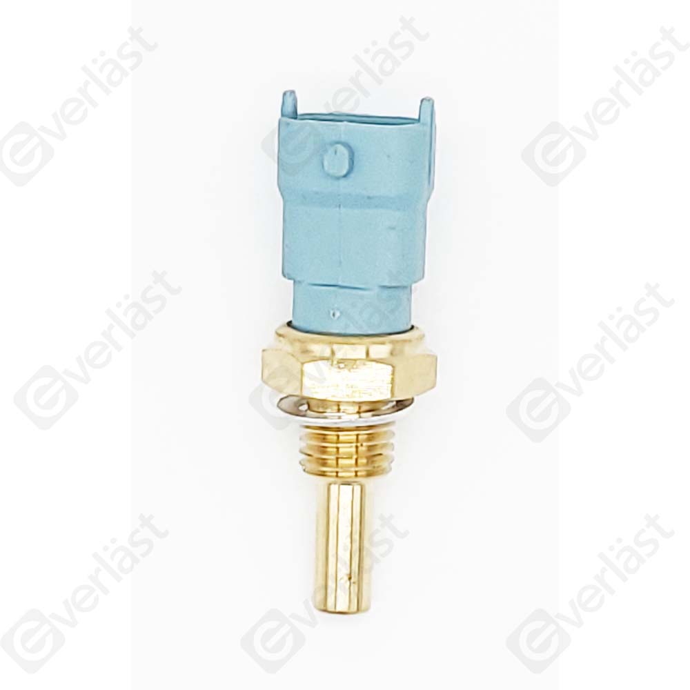 CAPTEURDE TEMPERATURE EVERLAST